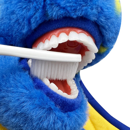 デンタルおもちゃ|歯ブラシ付き歯モデル・子ども向け口腔ケア教育用ぬいぐるみ・クリニックギフト